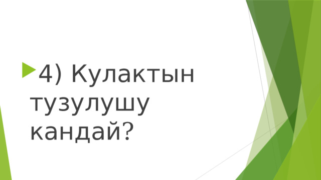 4) Кулактын тузулушу кандай ? 