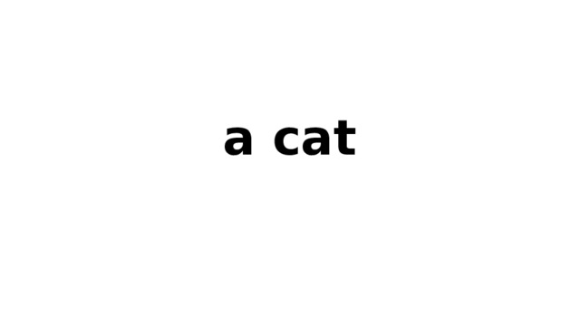 a cat 
