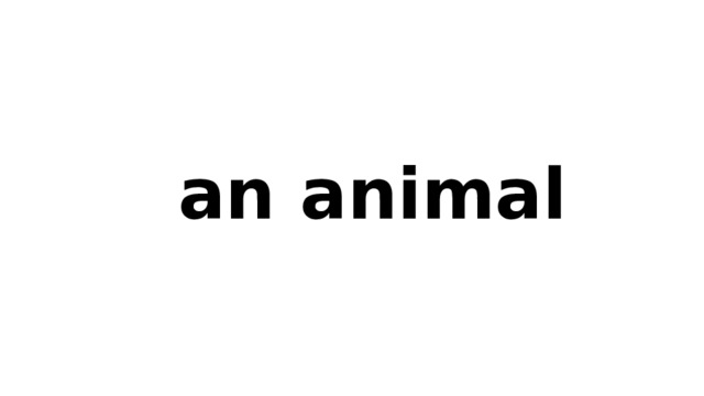  an animal 