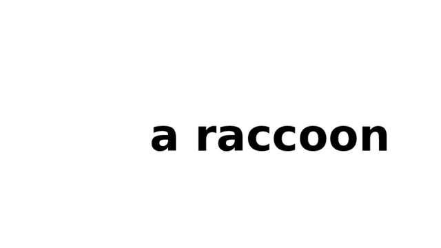  a raccoon 