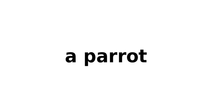 a parrot 