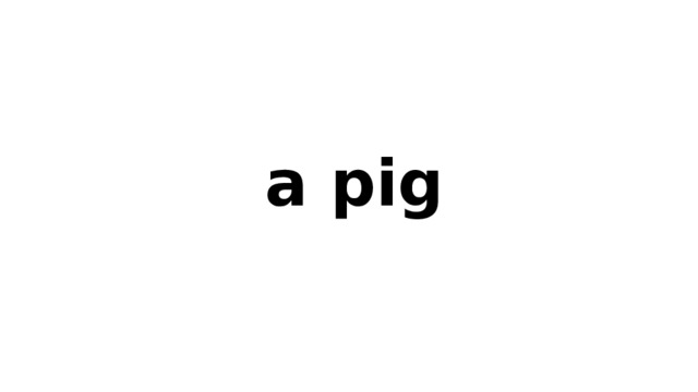 a pig 