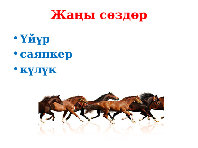 Жаңы сөздөр Үйүр саяпкер күлүк 