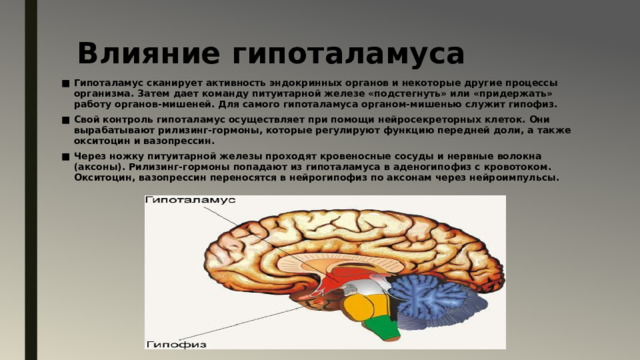Влияние гипоталамуса   Гипоталамус сканирует активность эндокринных органов и некоторые другие процессы организма. Затем дает команду питуитарной железе «подстегнуть» или «придержать» работу органов-мишеней. Для самого гипоталамуса органом-мишенью служит гипофиз. Свой контроль гипоталамус осуществляет при помощи нейросекреторных клеток. Они вырабатывают рилизинг-гормоны, которые регулируют функцию передней доли, а также окситоцин и вазопрессин.  Через ножку питуитарной железы проходят кровеносные сосуды и нервные волокна (аксоны). Рилизинг-гормоны попадают из гипоталамуса в аденогипофиз с кровотоком. Окситоцин, вазопрессин переносятся в нейрогипофиз по аксонам через нейроимпульсы. 
