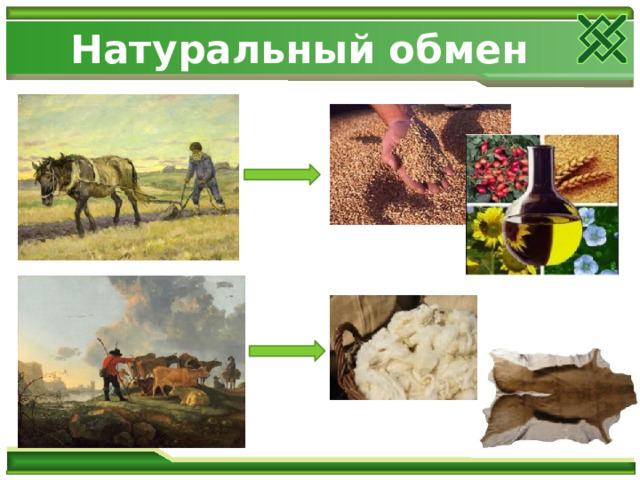 Натуральный обмен 
