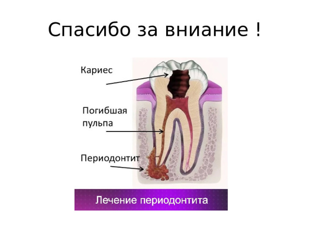 Спасибо за вниание ! 