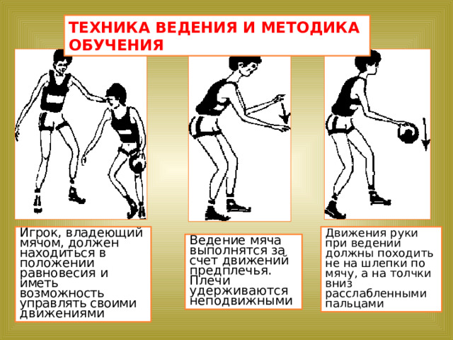 ТЕХНИКА ВЕДЕНИЯ И МЕТОДИКА ОБУЧЕНИЯ Игрок, владеющий мячом, должен находиться в положении равновесия и иметь возможность управлять своими движениями Движения руки при ведении должны походить не на шлепки по мячу, а на толчки вниз расслабленными пальцами Ведение мяча выполня тся за счет движений предплечья. Плечи удерживаются неподвижными 