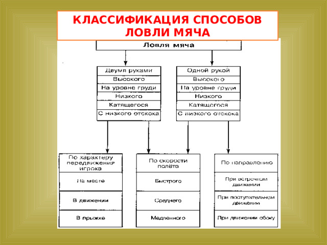 КЛАССИФИКАЦИЯ СПОСОБОВ ЛОВЛИ МЯЧА 