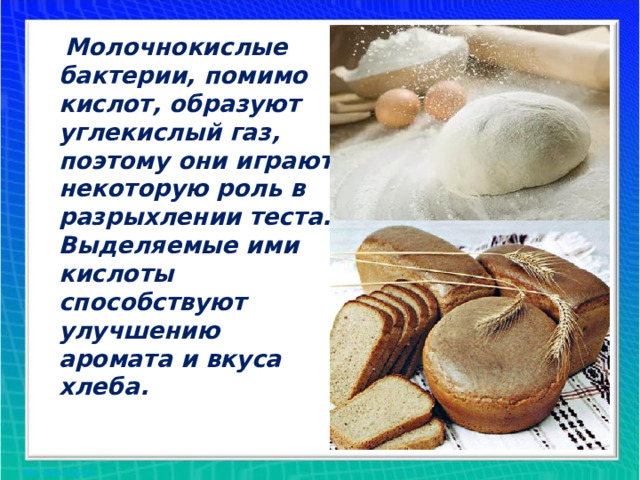 Молочнокислые бактерии, помимо кислот, образуют углекислый газ, поэтому они играют некоторую роль в разрыхлении теста. Выделяемые ими кислоты способствуют улучшению аромата и вкуса хлеба.  