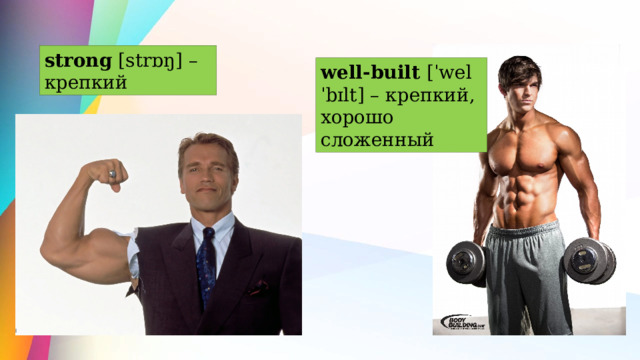 strong [strɒŋ] – крепкий well-built [ˈwelˈbɪlt] – крепкий, хорошо сложенный 