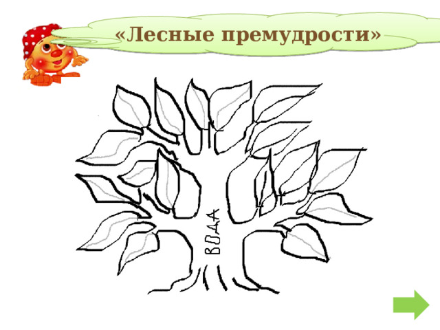 «Лесные премудрости» 