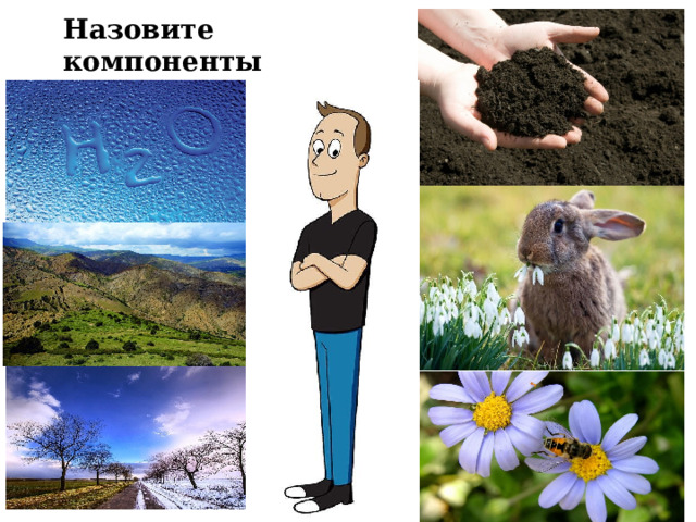 Назовите компоненты природы 