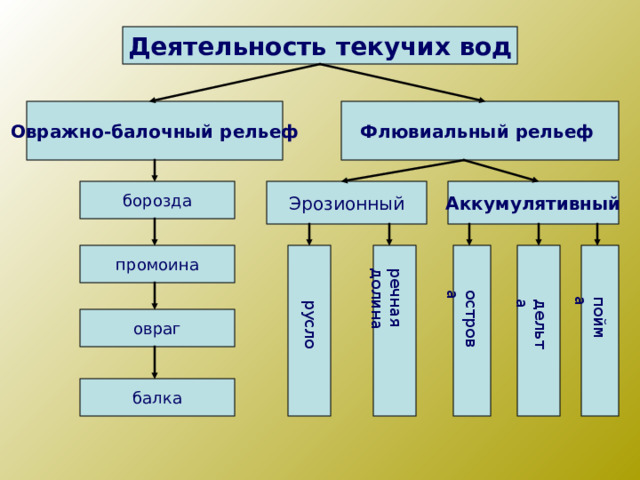 русло речная долина острова дельта пойма Деятельность текучих вод Овражно-балочный рельеф Флювиальный рельеф  Аккумулятивный Эрозионный борозда промоина овраг балка 