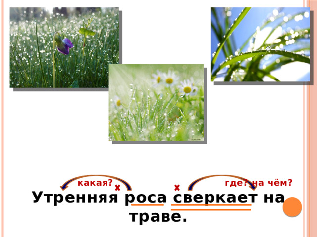 какая? где? на чём? Утренняя роса сверкает на траве. 