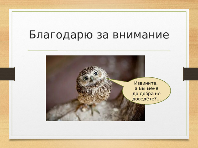Благодарю за внимание Извините, а Вы меня до добра не доведёте?... 