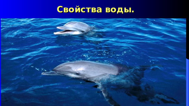 Свойства воды. 
