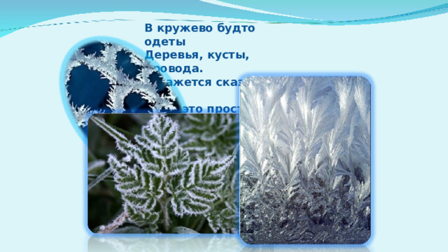 В кружево будто одеты Деревья, кусты, провода.  И кажется сказкою это, А всё это просто вода.  
