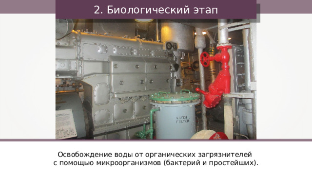 2. Биологический этап Освобождение воды от органических загрязнителей с помощью микроорганизмов (бактерий и простейших). 35 