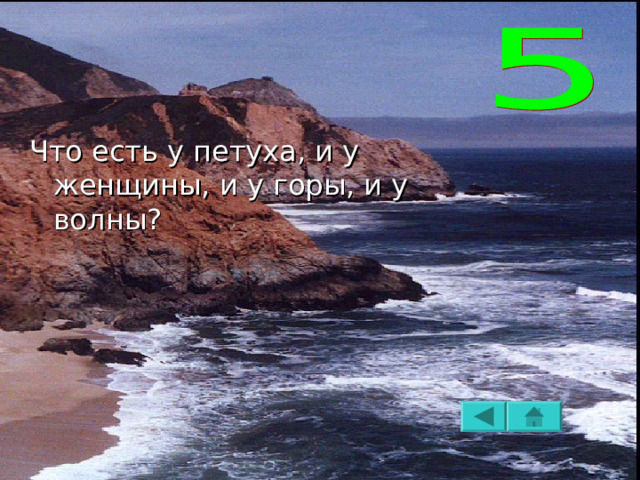 Что есть у петуха, и у женщины, и у горы, и у волны? 