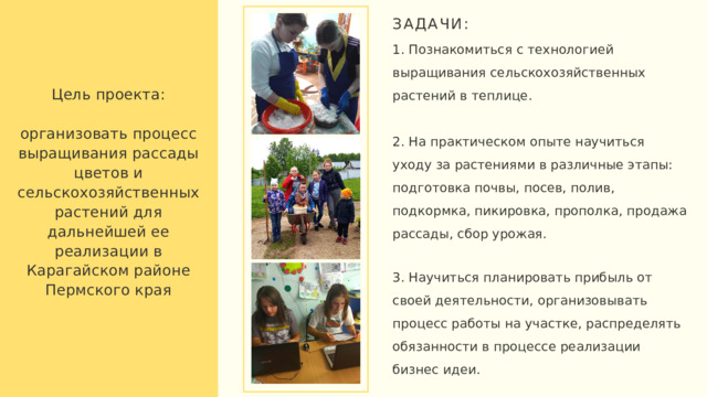 ЗАДАЧИ: 1. Познакомиться с технологией выращивания сельскохозяйственных растений в теплице. 2. На практическом опыте научиться уходу за растениями в различные этапы: подготовка почвы, посев, полив, подкормка, пикировка, прополка, продажа рассады, сбор урожая. 3. Научиться планировать прибыль от своей деятельности, организовывать процесс работы на участке, распределять обязанности в процессе реализации бизнес идеи. Цель проекта: организовать процесс выращивания рассады цветов и сельскохозяйственных растений для дальнейшей ее реализации в Карагайском районе Пермского края 