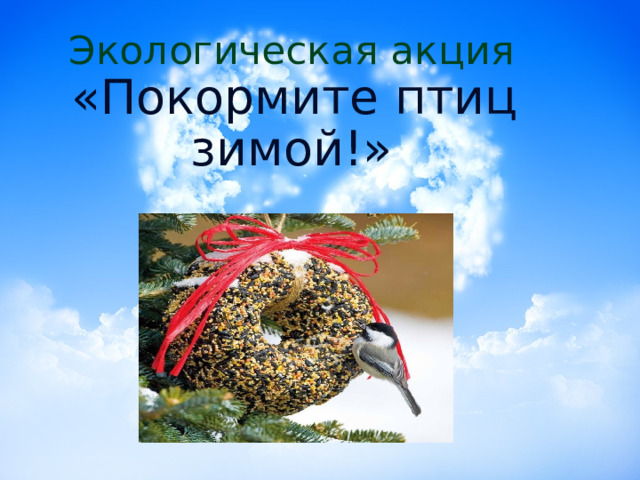 Экологическая акция   «Покормите птиц зимой!»  