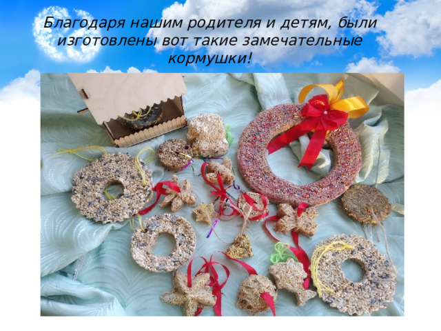 Благодаря нашим родителя и детям, были изготовлены вот такие замечательные кормушки! 