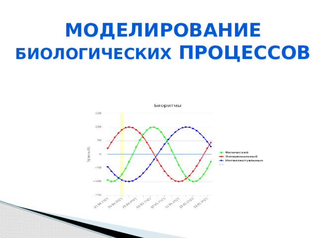 Моделирование биологических процессов   