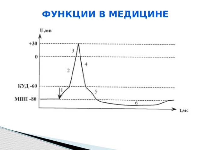Функции в медицине 