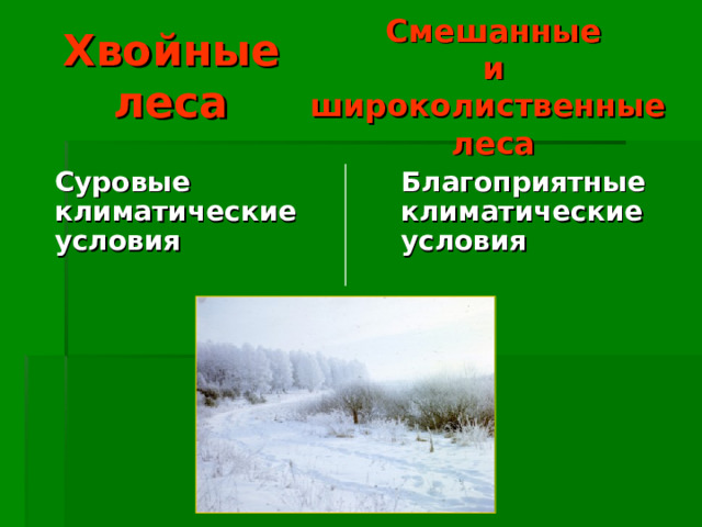 Смешанные и широколиственные леса Хвойные леса Суровые климатические условия Благоприятные климатические условия 