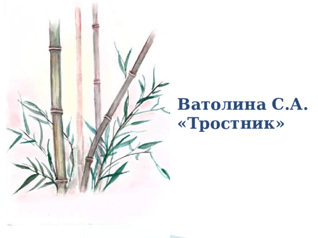 Ватолина С.А.  «Тростник» 