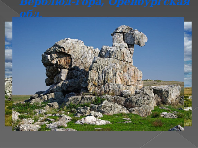 Верблюд-гора, Оренбургская обл . 