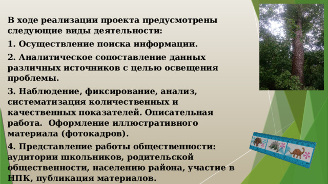 В ходе реализации проекта предусмотрены следующие виды деятельности: 1. Осуществление поиска информации. 2. Аналитическое сопоставление данных различных источников с целью освещения проблемы. 3. Наблюдение, фиксирование, анализ, систематизация количественных и качественных показателей. Описательная работа. Оформление иллюстративного материала (фотокадров). 4. Представление работы общественности: аудитории школьников, родительской общественности, населению района, участие в НПК, публикация материалов. 