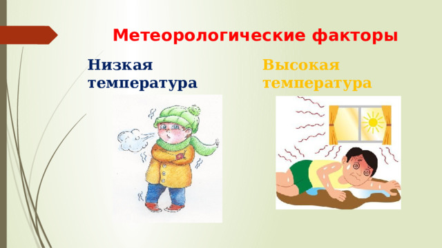 Метеорологические факторы Высокая температура Низкая температура 