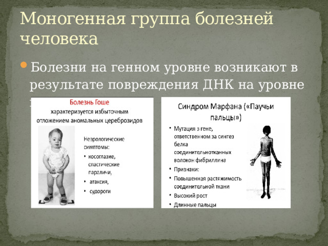 Моногенная группа болезней человека Болезни на генном уровне возникают в результате повреждения ДНК на уровне гена. 