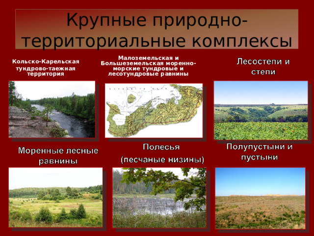 Крупные природно-территориальные комплексы Малоземельская и Большеземельская моренно-морские тундровые и лесотундровые равнины Кольско-Карельская тундрово-таежная территория 