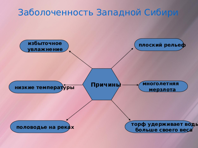 Заболоченность Западной Сибири плоский рельеф  избыточное  увлажнение Причины   многолетняя мерзлота   низкие температуры  торф удерживает воды  половодье на реках больше своего веса 