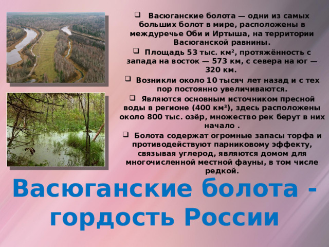  Васюганские болота — одни из самых больших болот в мире, расположены в междуречье Оби и Иртыша, на территории Васюганской равнины.  Площадь 53 тыс. км², протяжённость с запада на восток — 573 км, с севера на юг — 320 км.  Возникли около 10 тысяч лет назад и с тех пор постоянно увеличиваются.  Являются основным источником пресной воды в регионе (400 км³), здесь расположены около 800 тыс. озёр, множество рек берут в них начало .  Болота содержат огромные запасы торфа и противодействуют парниковому эффекту, связывая углерод, являются домом для многочисленной местной фауны, в том числе редкой.   Васюганские болота - гордость России 