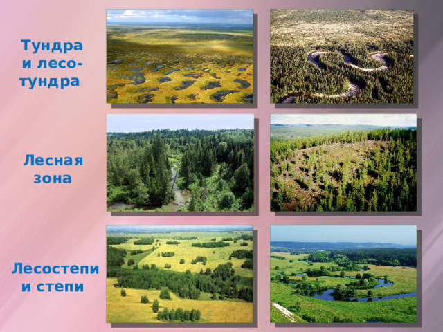 Тундра и лесо-тундра Лесная зона Лесостепи и степи 