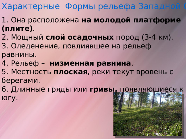 Характерные Формы рельефа Западной Сибири 1. Она расположена на молодой платформе (плите) . 2. Мощный слой осадочных пород (3-4 км). 3. Оледенение, повлиявшее на рельеф равнины. 4. Рельеф – низменная равнина . 5. Местность плоская , реки текут вровень с берегами. 6. Длинные гряды или гривы, появляющиеся к югу.   