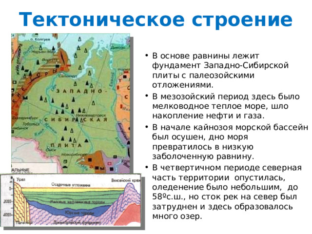 Тектоническое строение В основе равнины лежит фундамент Западно-Сибирской плиты с палеозойскими отложениями. В мезозойский период здесь было мелководное теплое море, шло накопление нефти и газа. В начале кайнозоя морской бассейн был осушен, дно моря превратилось в низкую заболоченную равнину. В четвертичном периоде северная часть территории опустилась, оледенение было небольшим, до 58 ºс.ш., но сток рек на север был затруднен и здесь образовалось много озер. 