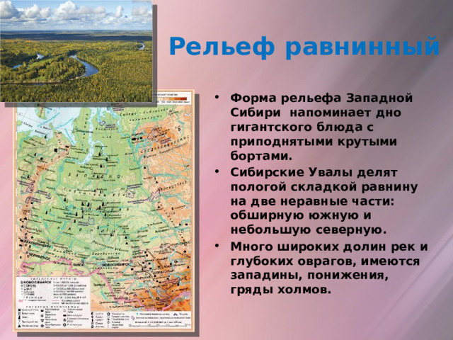Рельеф равнинный Форма рельефа Западной Сибири напоминает дно гигантского блюда с приподнятыми крутыми бортами. Сибирские Увалы делят пологой складкой равнину на две неравные части: обширную южную и небольшую северную. Много широких долин рек и глубоких оврагов, имеются западины, понижения, гряды холмов. 
