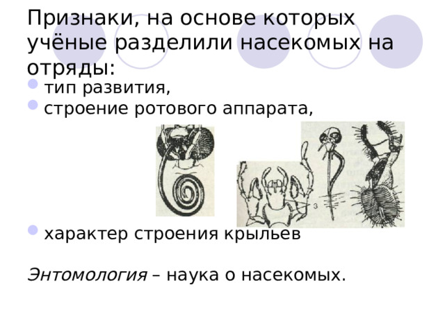 Признаки, на основе которых учёные разделили насекомых на отряды: тип развития, строение ротового аппарата,    характер строения крыльев  Энтомология – наука о насекомых. 