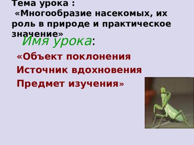 Тема урока :  «Многообразие насекомых, их роль в природе и практическое значение»  Имя урока :   «Объект поклонения Источник вдохновения Предмет изучения »    