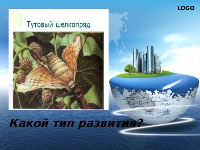   Какой тип развития? 