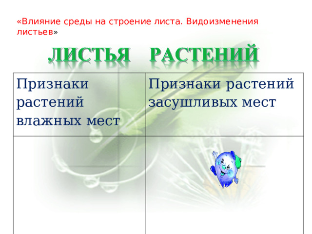 «Влияние среды на строение листа. Видоизменения листьев » Признаки растений влажных мест Признаки растений засушливых мест     