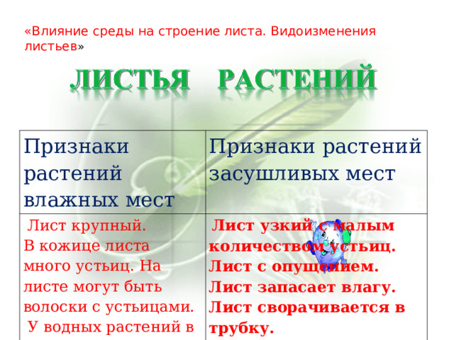 «Влияние среды на строение листа. Видоизменения листьев » Признаки растений влажных мест Признаки растений засушливых мест   Лист крупный. В кожице листа много устьиц. На листе могут быть волоски с устьицами.  У водных растений в мякоти имеется воздухоносная ткань.   Лист узкий с малым количеством устьиц. Лист с опущением. Лист запасает влагу. Лист сворачивается в трубку.  