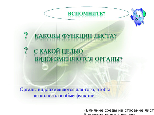 «Влияние среды на строение листа. Видоизменения листьев» 