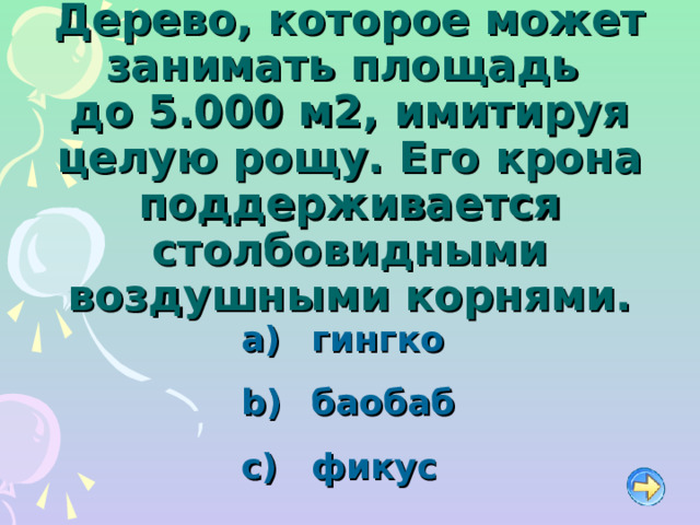 Дерево, которое может занимать площадь  до 5.000 м2, имитируя целую рощу. Его крона поддерживается столбовидными воздушными корнями.   гингко   баобаб   фикус 