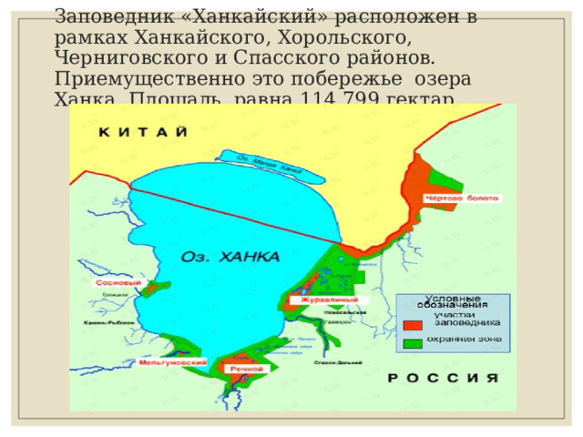 Заповедник «Ханкайский» расположен в рамках Ханкайского, Хорольского, Черниговского и Спасского районов. Приемущественно это побережье озера Ханка. Площадь равна 114 799 гектар..  