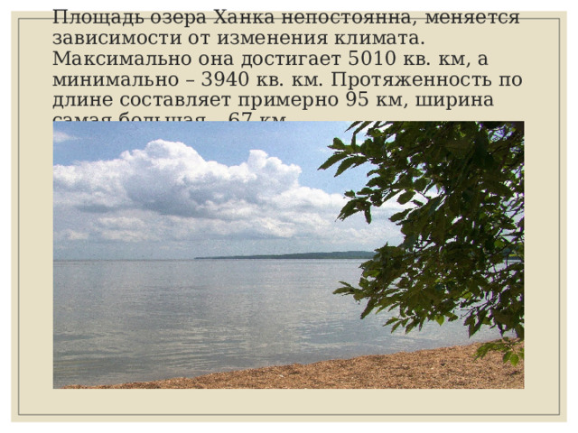 Площадь озера Ханка непостоянна, меняется зависимости от изменения климата. Максимально она достигает 5010 кв. км, а минимально – 3940 кв. км. Протяженность по длине составляет примерно 95 км, ширина самая большая – 67 км. 